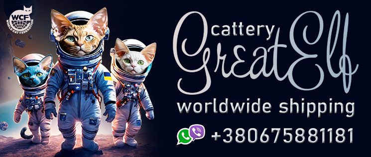 Site logo - cattery devon rex