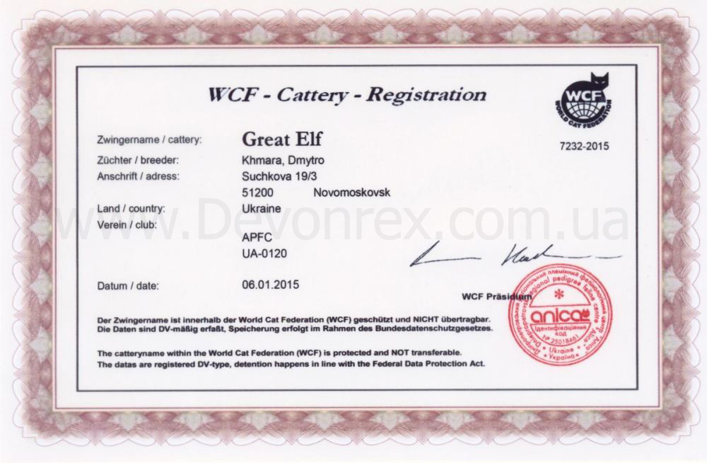 Registration certificate according to the WCF system of the Great Elf cattery